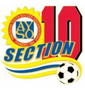 Section 10