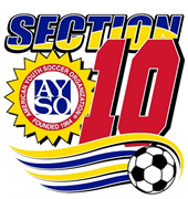 Section 10